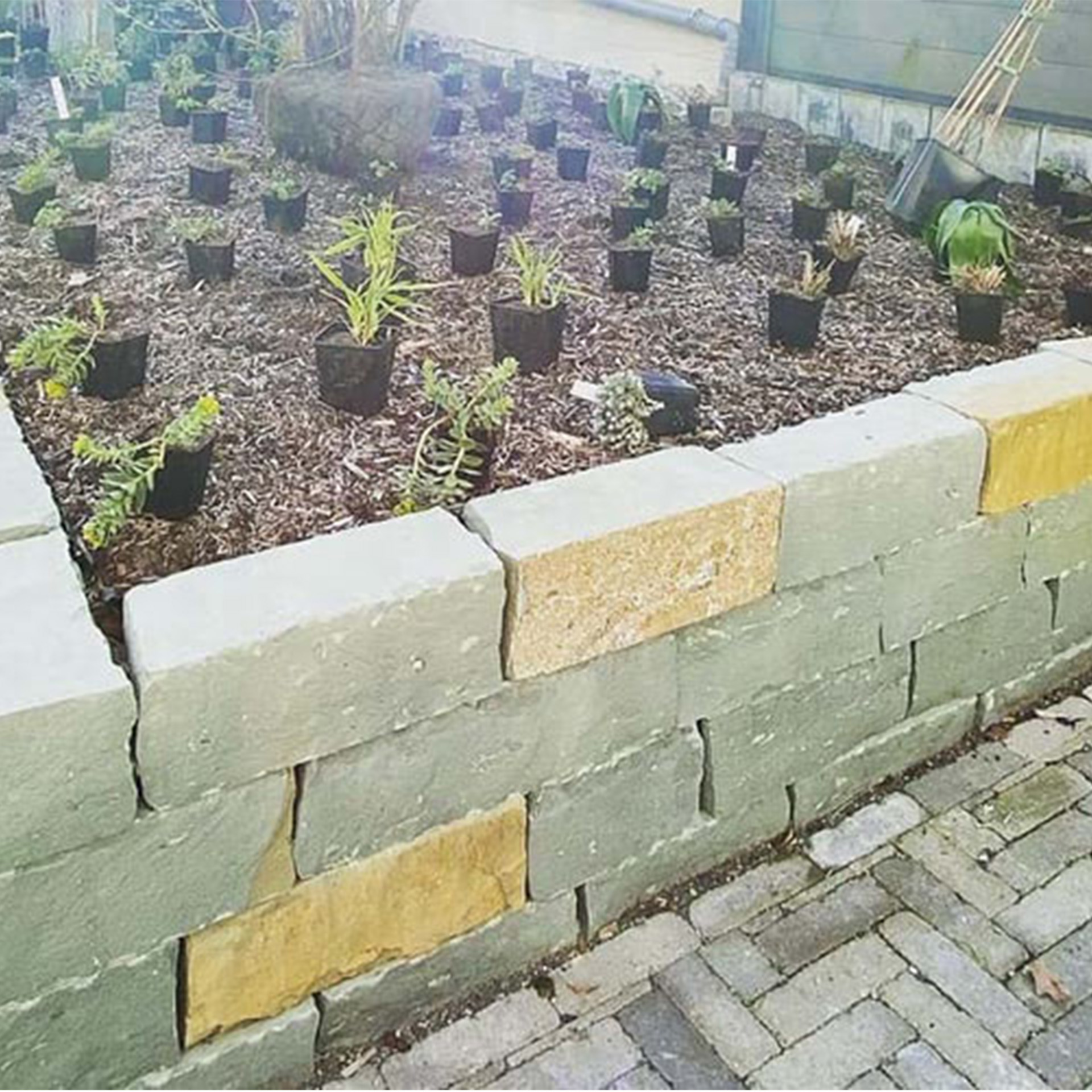 Mauersteine Grau Sandstein