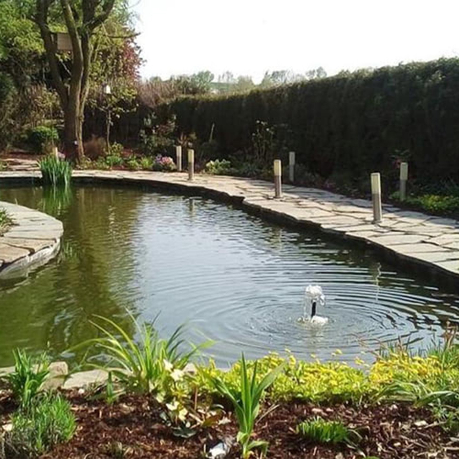 Polygonalplatten Sandstein Grau