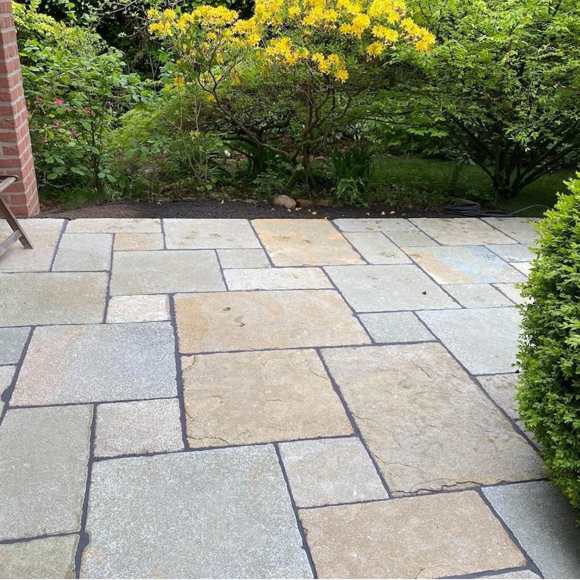 Terrassenplatten Kalksteinplatten Tundra Gelb